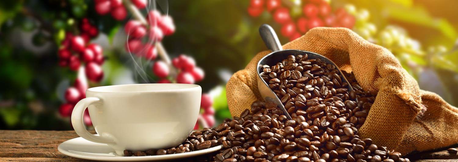 best kona coffee tours