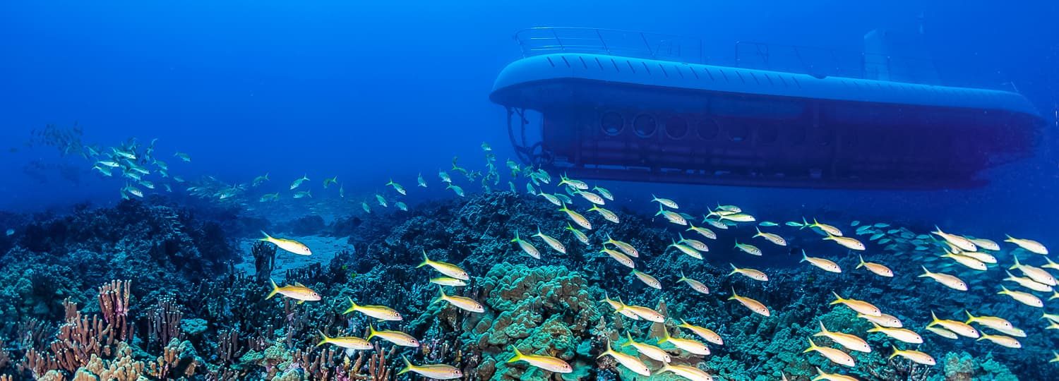 big island hawaii submarine tour