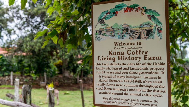 Kona Coffee History Farm H N Greenwell Store Big Island Guide kona-coffee-history-farm-h-n-greenwell-store-big-island-guide