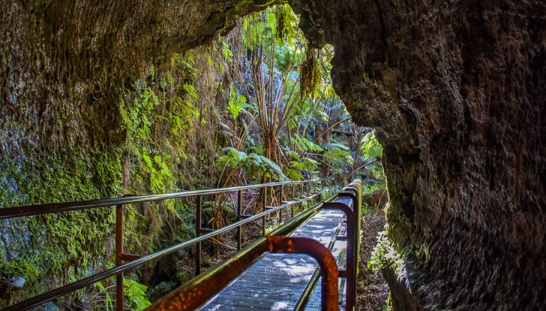 Go Camping in Hawaii Volcanoes National Park | Big Island Guide