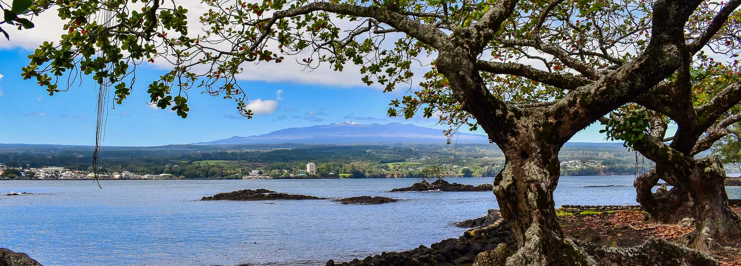 Cafe Pesto Big Island Guide