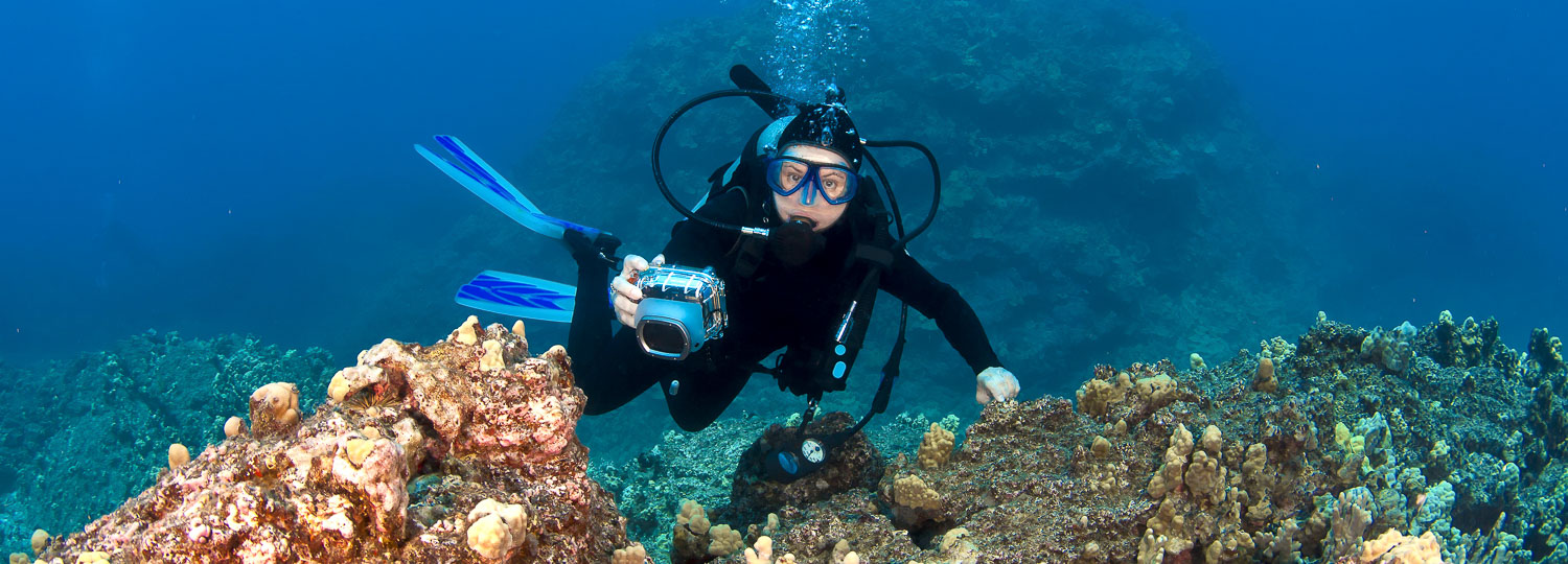 Jack’s Diving Locker Big Island Guide