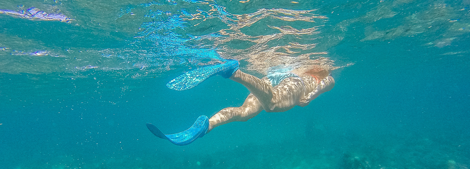 Adventures in Paradise Kayak & Snorkel Big Island Guide