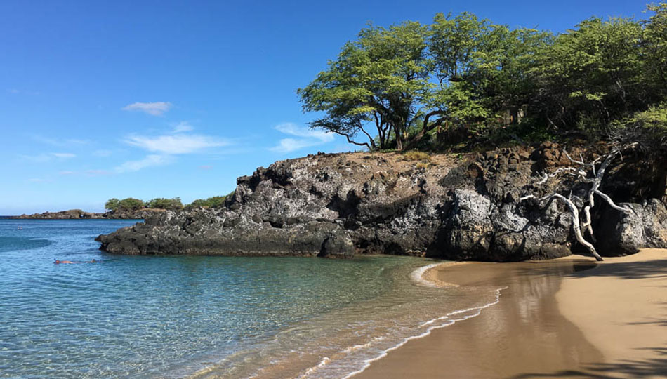 Waialea Bay Beach 69 offers some of the best snorkeling on the Big Island