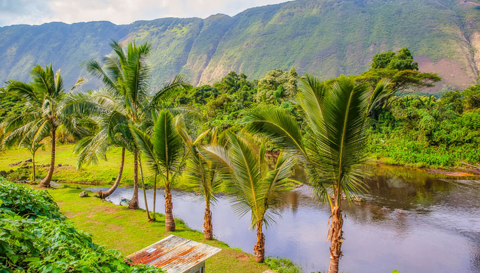 The Wailoa Stream in the Waipio Valley