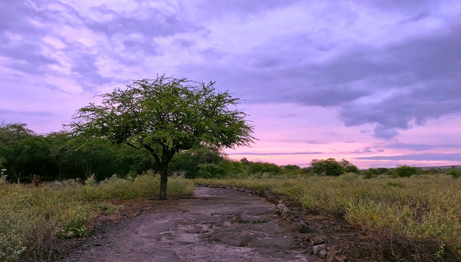 Honokohau Beach trail
