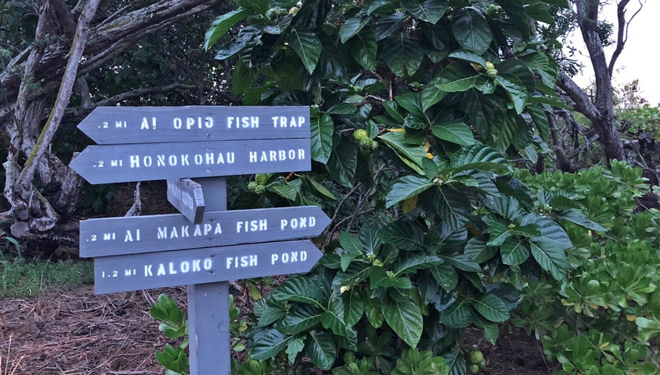 Directional sign showing which way to various locations around the Honokohau Harbor