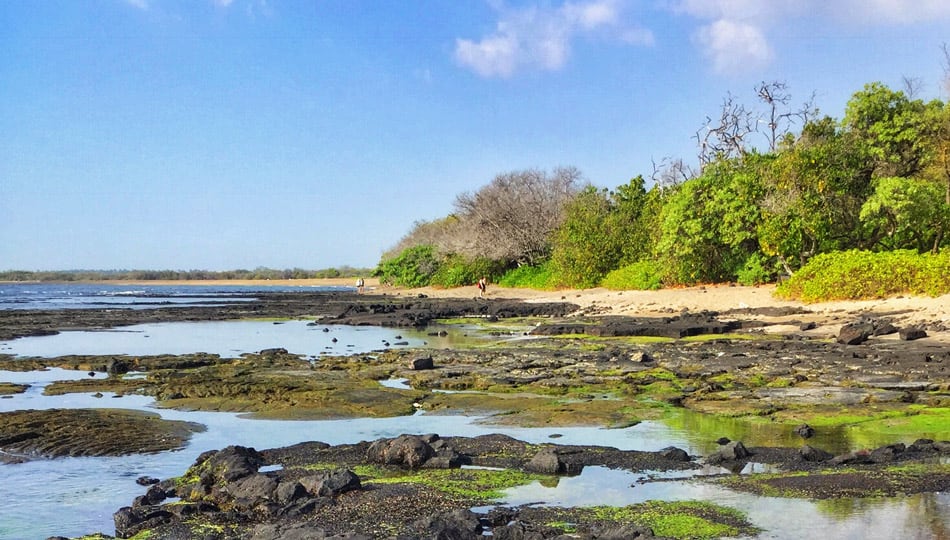 tide pools at Honokohau Beach