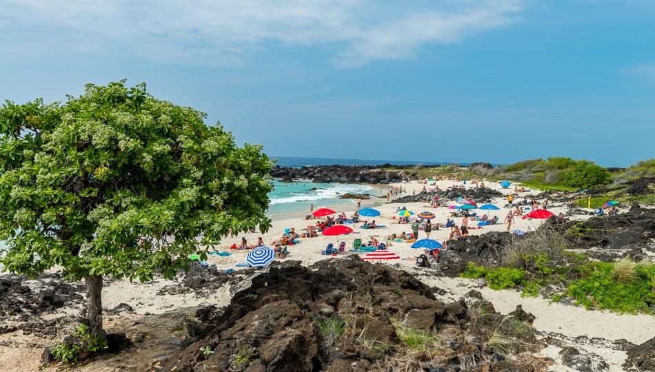 Kua Bay Manini'owali Beach Kailua Kona Big Island Hawai'i - Traveling Tacos