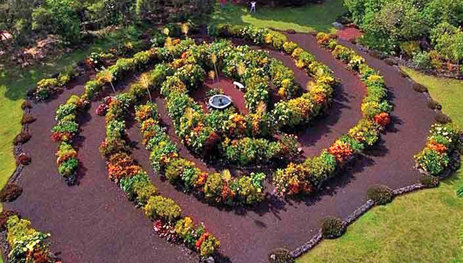 The Paleaku Big Island Botanical Gardens have beautiful flower beds like this spiral design