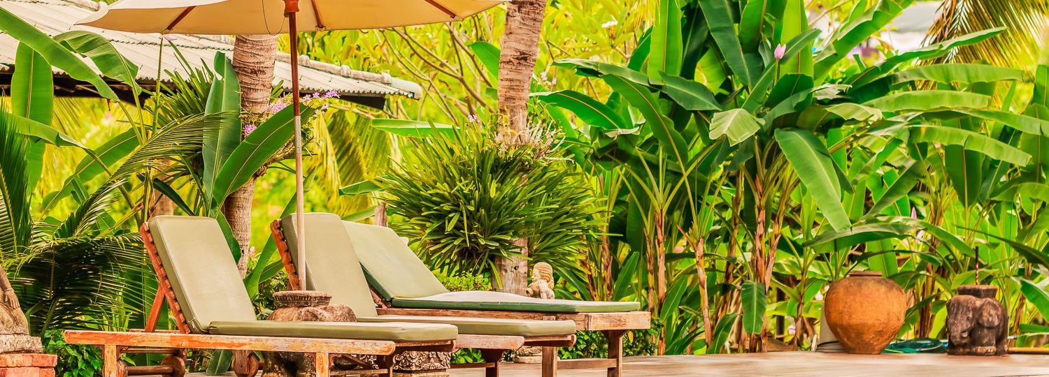 Puna Big Island Guide