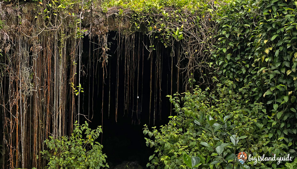 Kaumana Cave Entrance with Vines