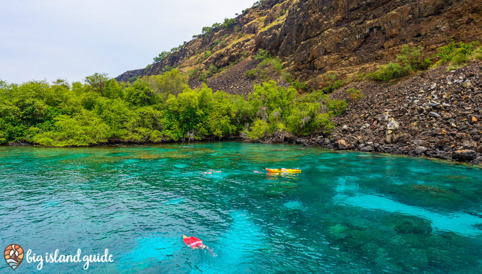 Snorkelers and kayakers at Kealakekua Bay