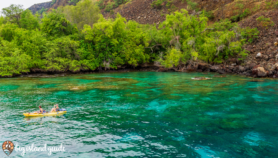 Kayakers at Kealakekua Bay