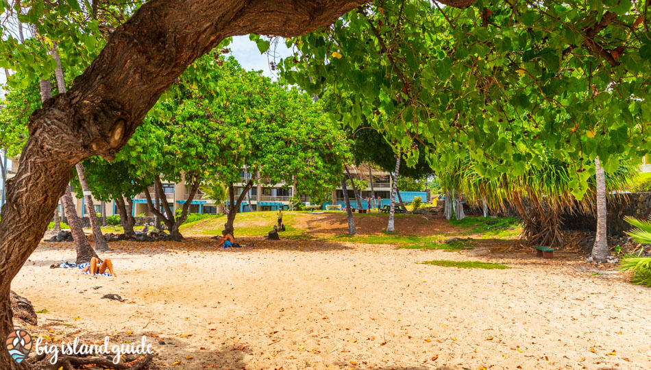 Honl's Beach Park is a great spot to picnic or relax under the trees