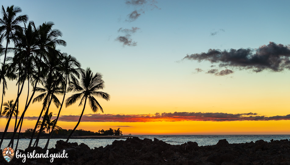 sunset silhouette of palm trees at Mahaiula beach