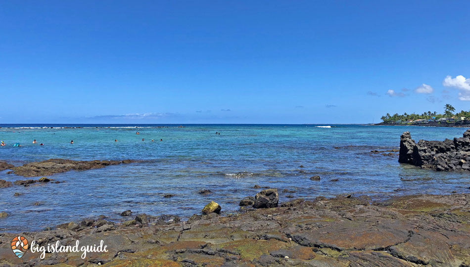 Kahaluu Beach Park is a large shallow bay perfect for snorkeling