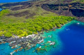 Kealakekua Bay from above