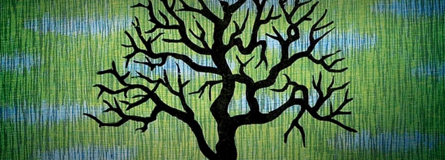 Studio 7 Fine Arts | Big Island Guide