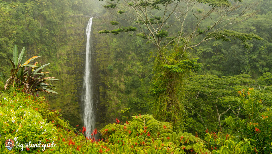 Akaka Falls Big Island Waterfall