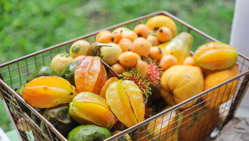 basket of fresh tropical fruit
